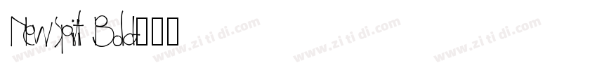 NewSpirit Bold字体转换